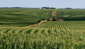 Valuing Ag Land in Nebraska